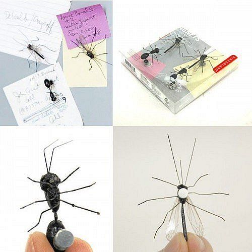 Hmyzí magnety - set - obrázek 1