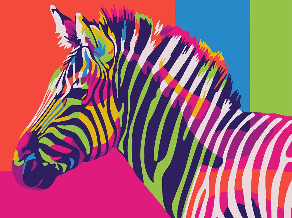 Kouzelný Art Malování podle čísel Barevná zebra - obrázek 1