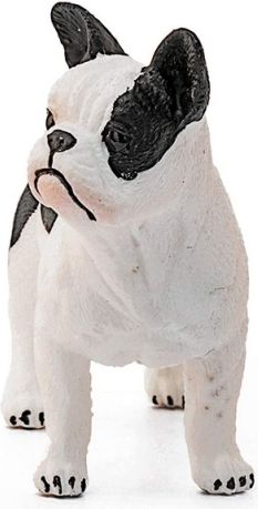 Schleich 13877 Zvířátko - Francouzský buldoček - obrázek 2