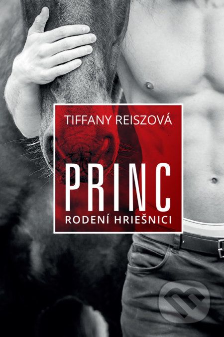 Princ - Tiffany Reisz - obrázek 1