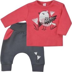 Souprava tepláčky a tričko - BIRDY šedá s tmavě růžovou - vel.62 - obrázek 1