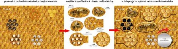 Začínáme vystřihovat Na statku - obrázek 5