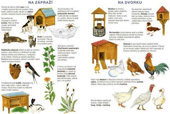 Začínáme vystřihovat Na statku - obrázek 7