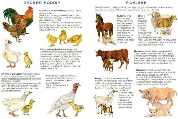 Začínáme vystřihovat Na statku - obrázek 8