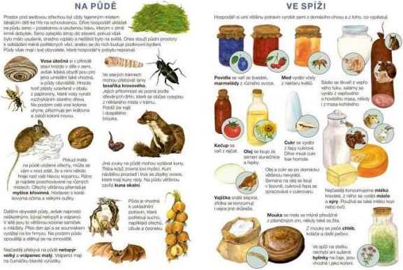Začínáme vystřihovat Na statku - obrázek 10