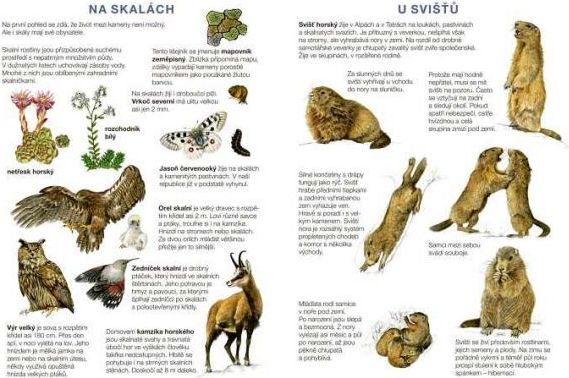 Začínáme vystřihovat Na horách - obrázek 10