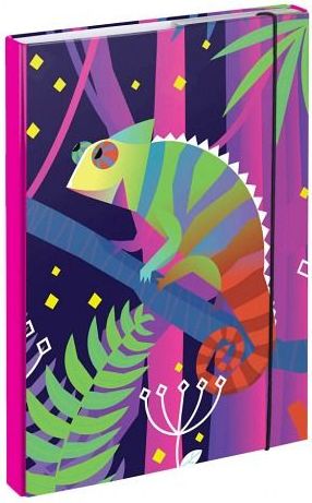 BAAGL Desky na školní sešity A4 Chameleon - obrázek 1