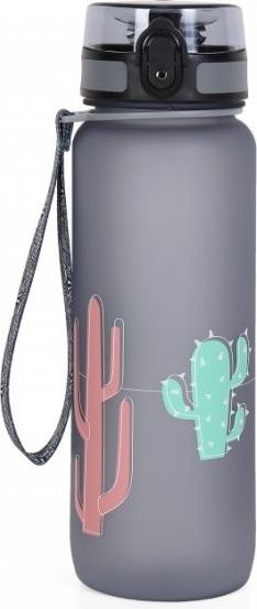 Albi Sportovní láhev Kaktus - 800 ml - obrázek 1