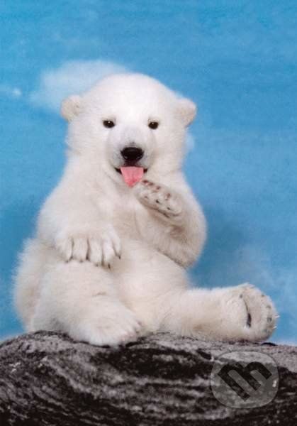 Polar bear - Clementoni - obrázek 1