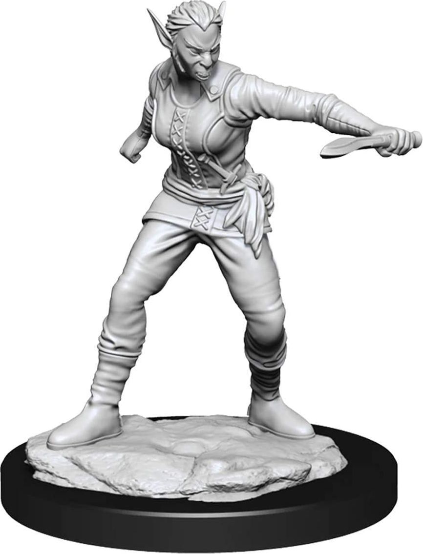 WizKids D&D Nolzur's Marvelous Miniatures - Shifter Rogue Female - obrázek 1