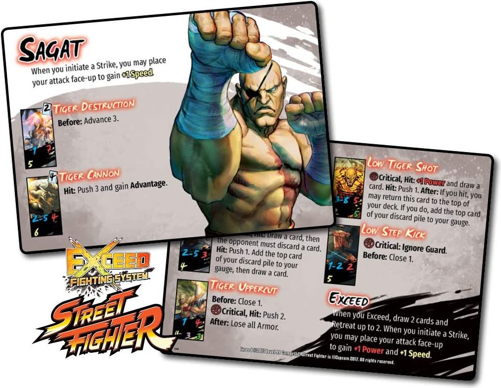 Level 99 Exceed: Street Fighter: Ryu Box - obrázek 4