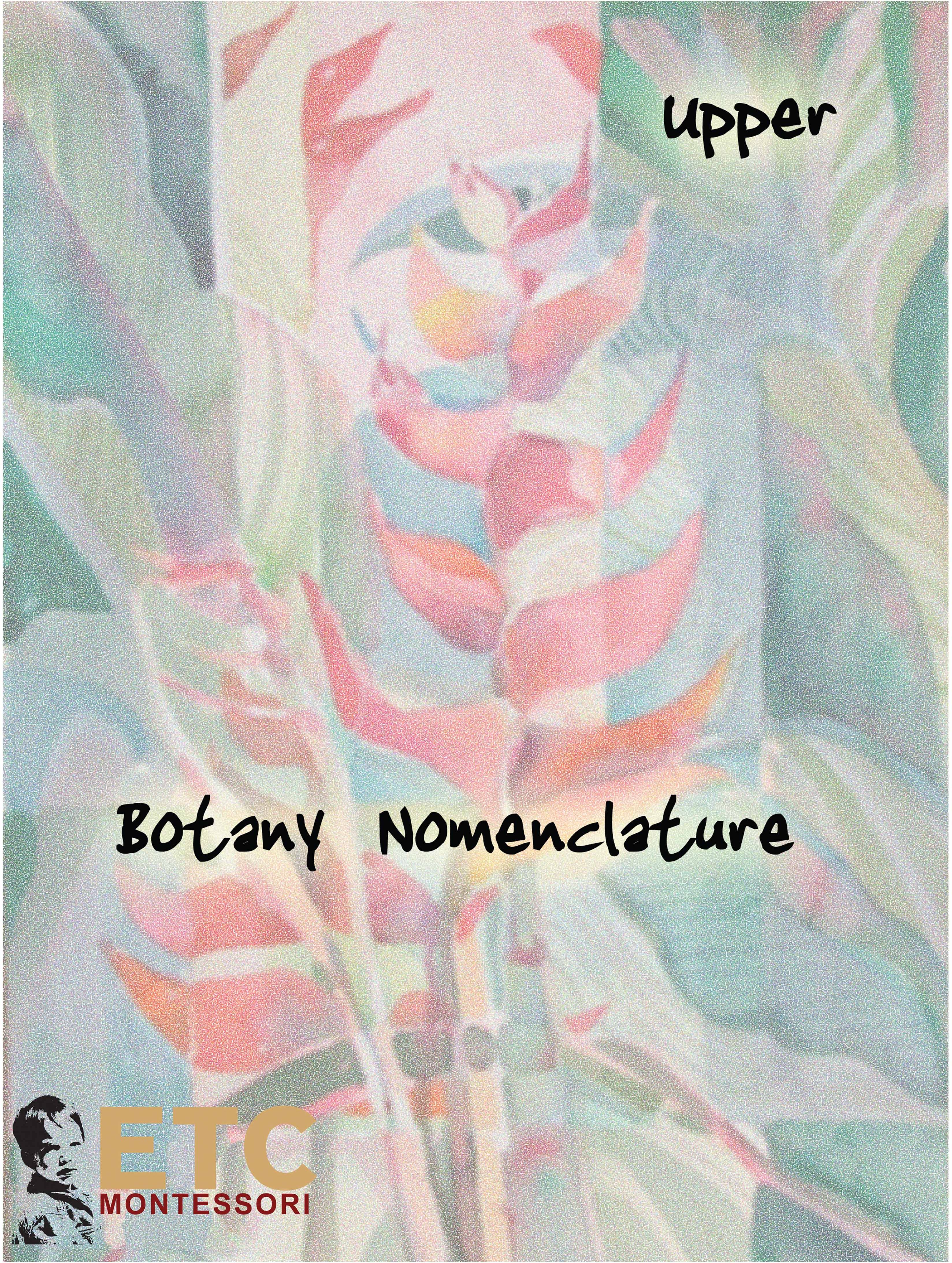 Nienhuis Montessori Upper Elementary Botany Nomenclature - obrázek 1