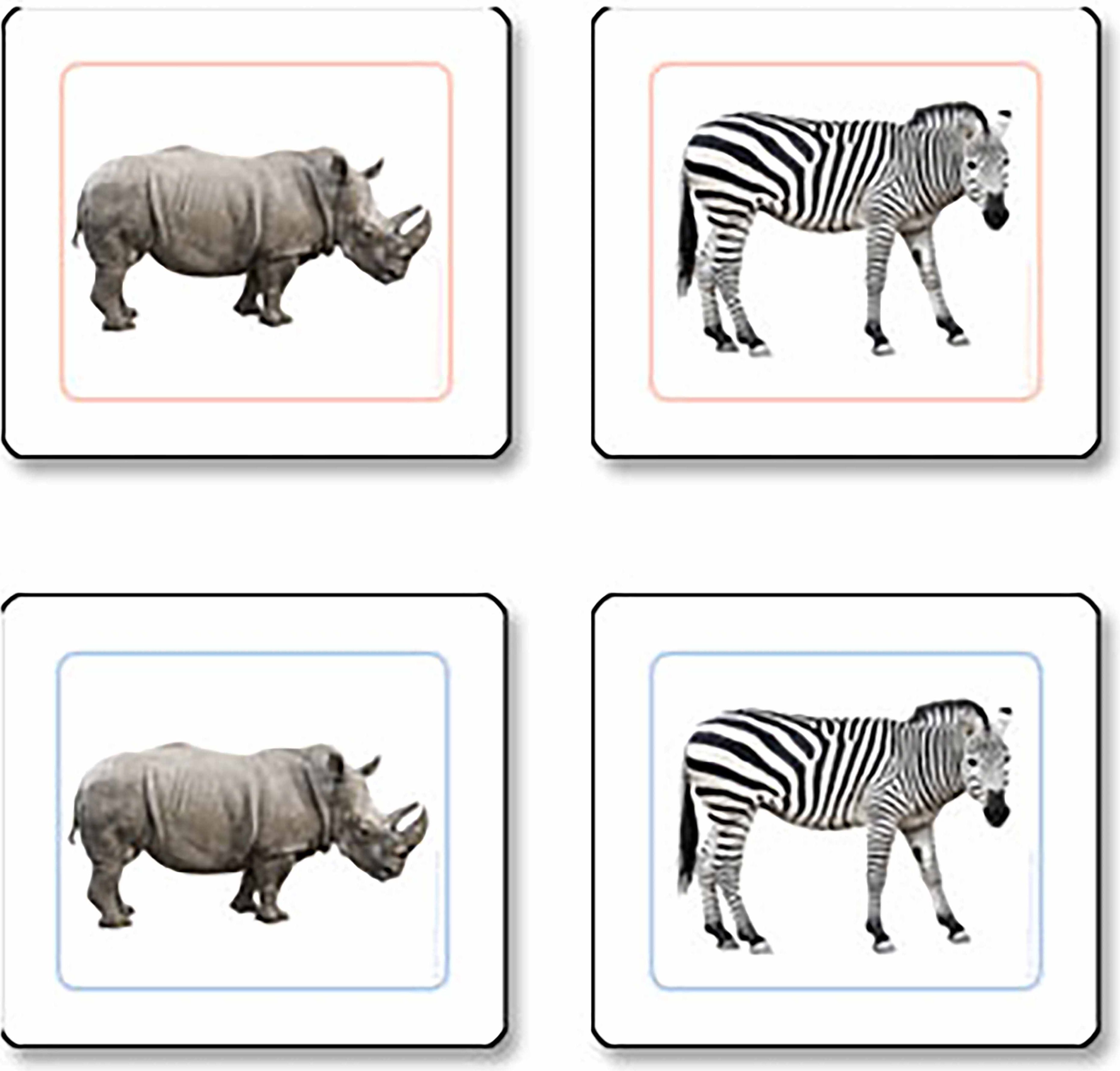 Nienhuis Montessori Přiřazovací karty: Africká zvířata - obrázek 1
