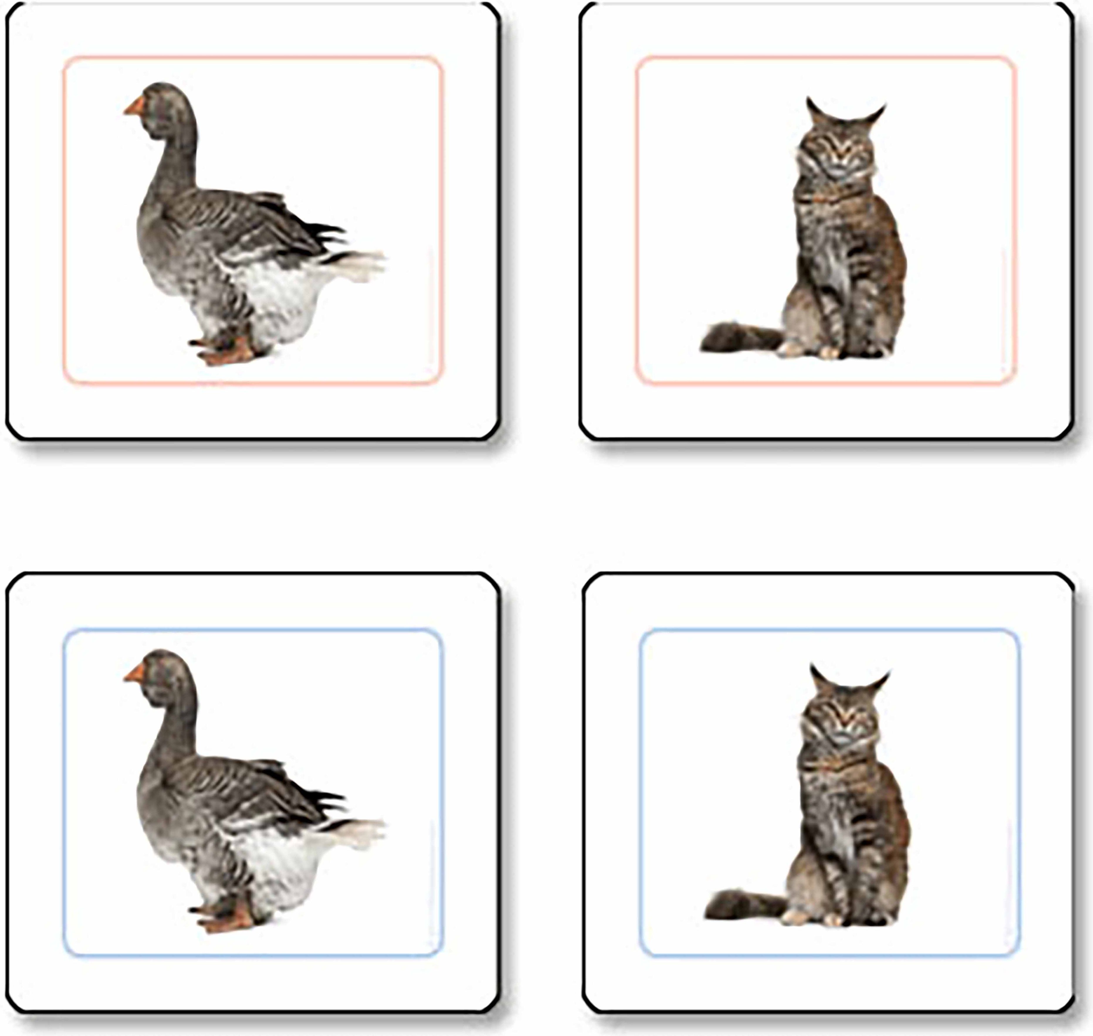 Nienhuis Montessori Třídící karty - domácí zvířata - obrázek 1