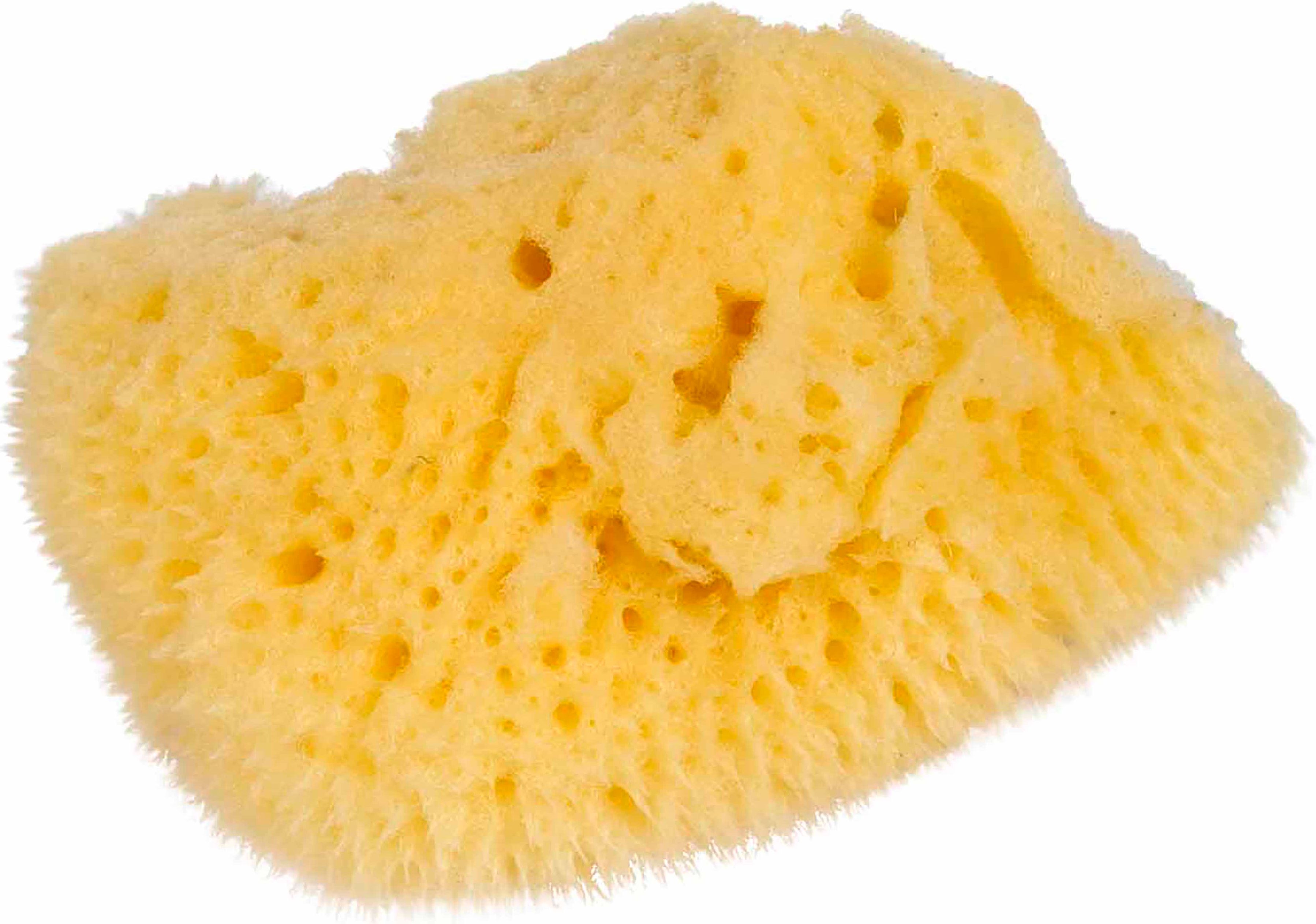 Nienhuis Natural Sponge: Small - obrázek 1