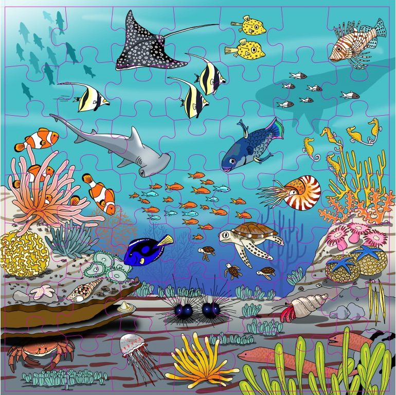 Vocabulary puzzle coral l Wooden puzzles l 49 puzzle pieces l Educo - obrázek 2
