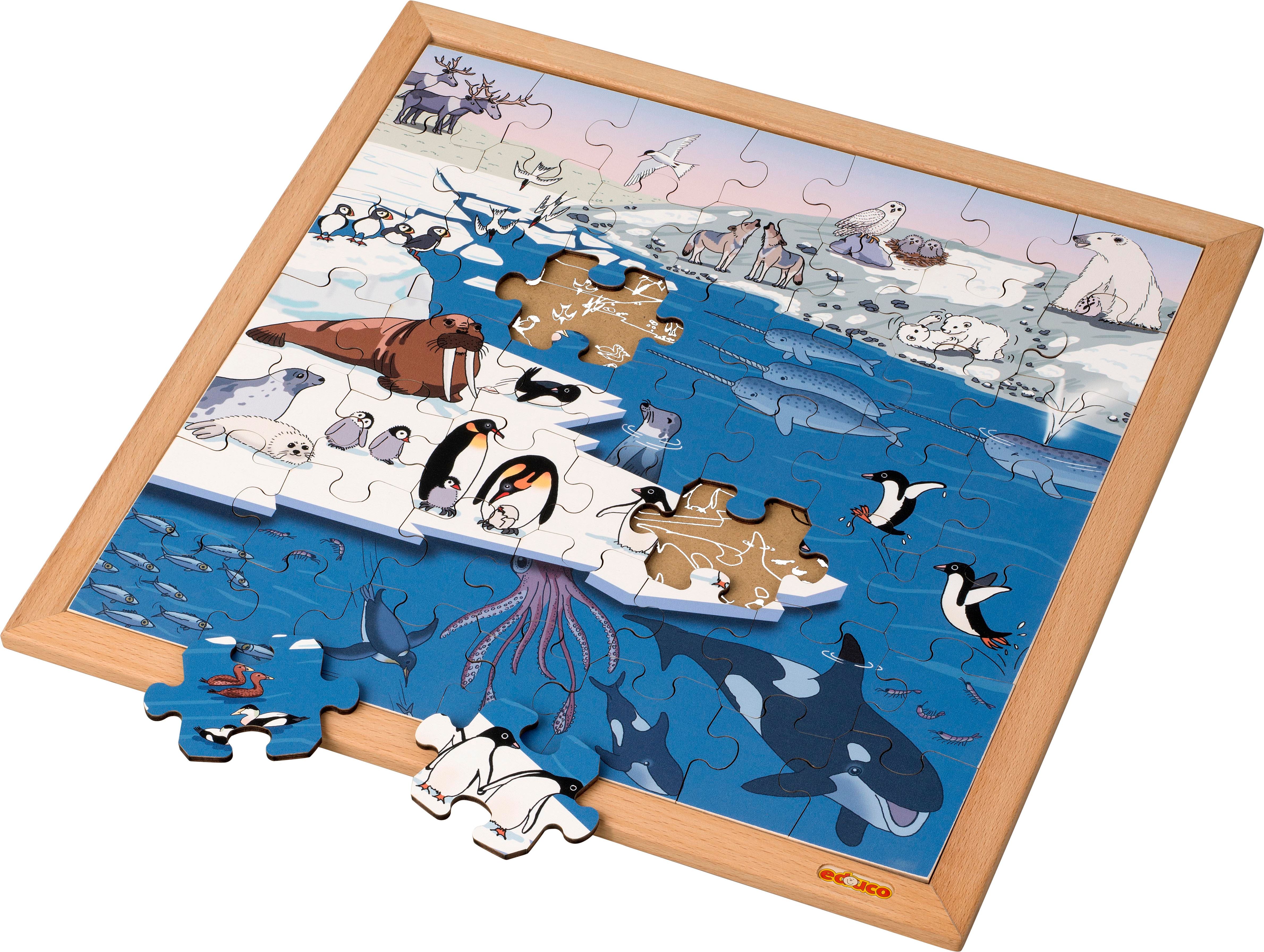 Vocabulary puzzle polar regions l Wooden puzzles l 49 puzzle pieces l Educo - obrázek 1