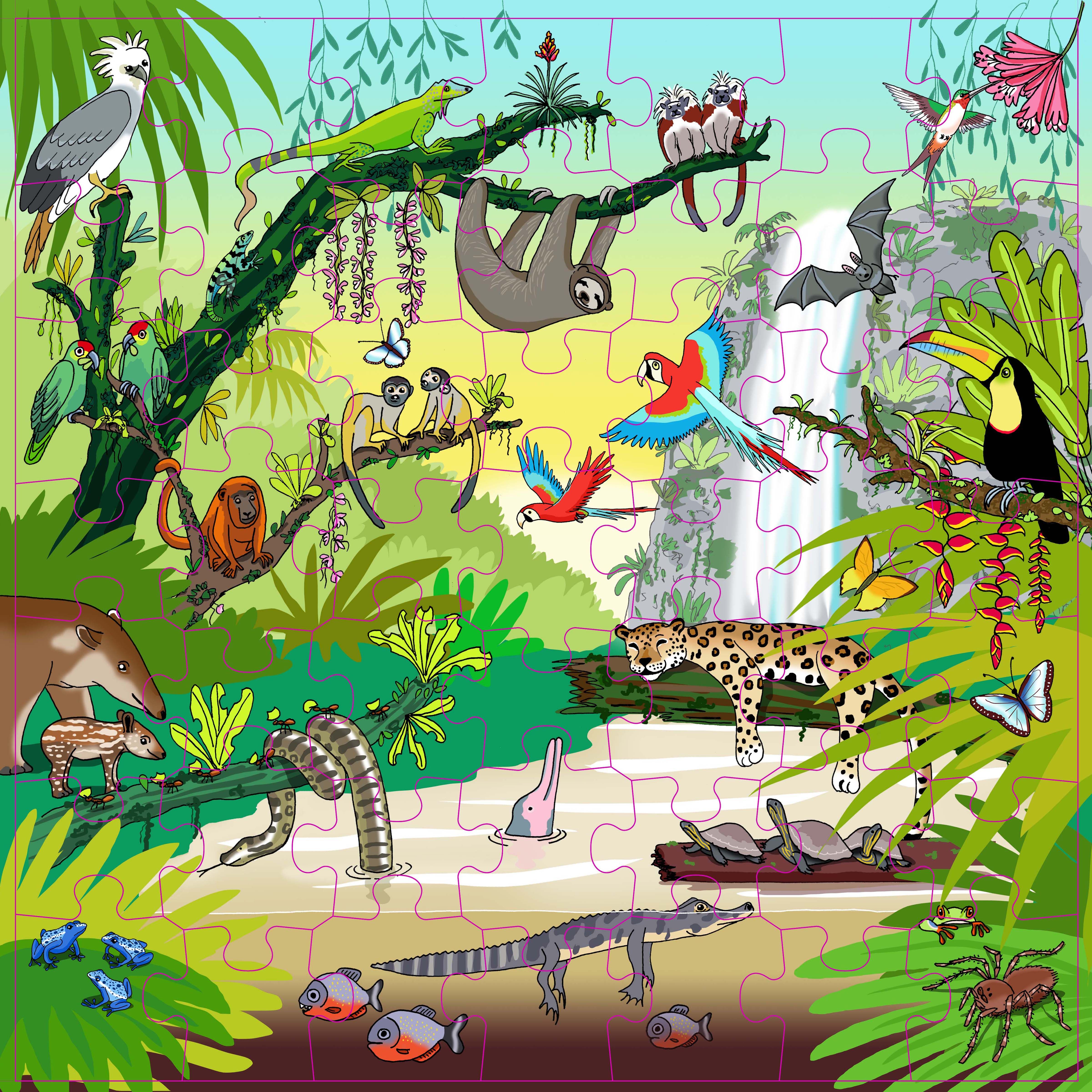 Vocabulary puzzle tropical forest l Wooden puzzles l 49 puzzle pieces l Educo - obrázek 2