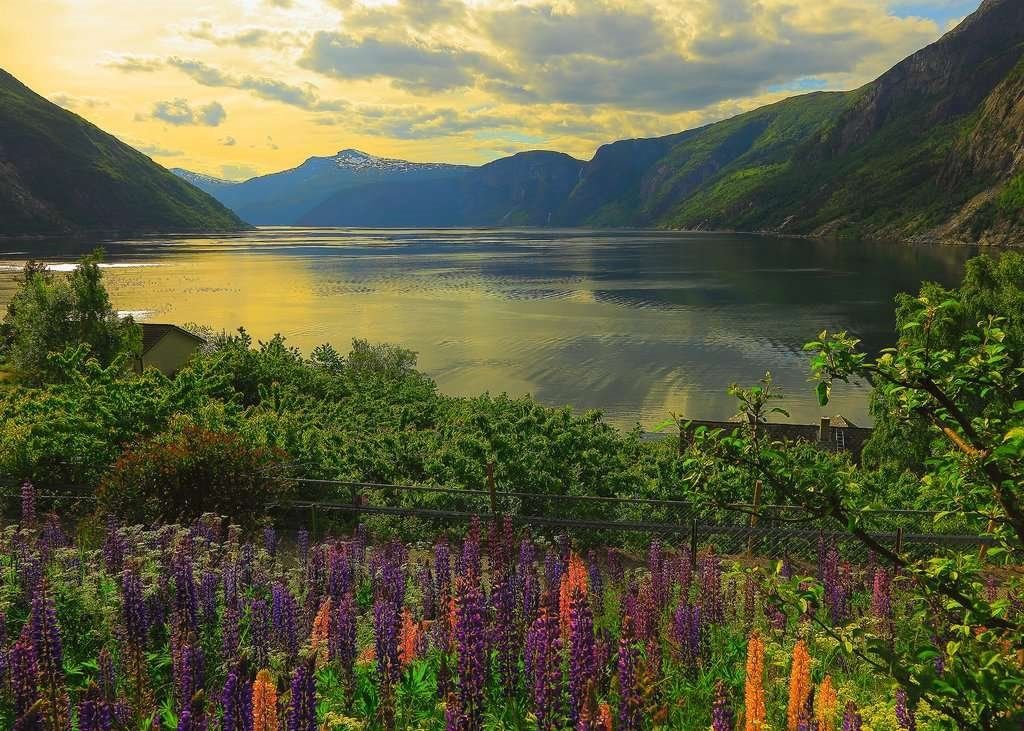 RAVENSBURGER Puzzle Fjord v Norsku 1000 dílků - obrázek 1