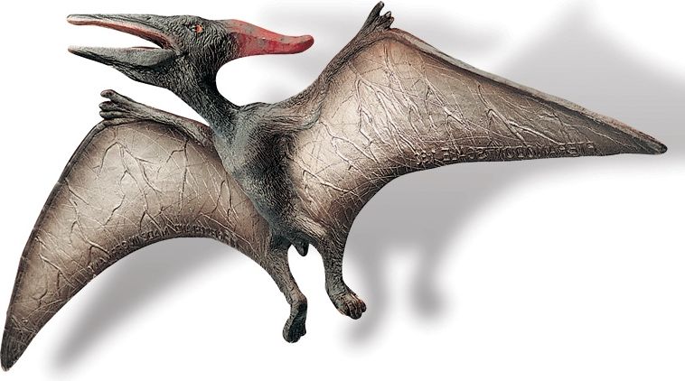 HM Studio Bullyland - Pteranodon 30 cm - obrázek 1
