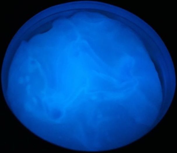 Inteligentní plastelína - svítící, Northern Lights - obrázek 1