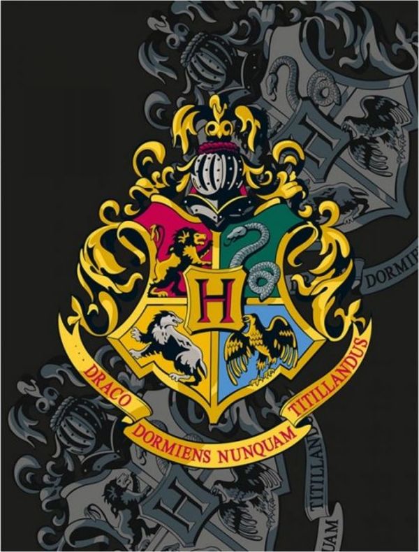 Halantex · Fleecová deka Harry Potter s erbem školy čar a kouzel v Bradavicích - Polar fleece - 130 x 170 cm - obrázek 1