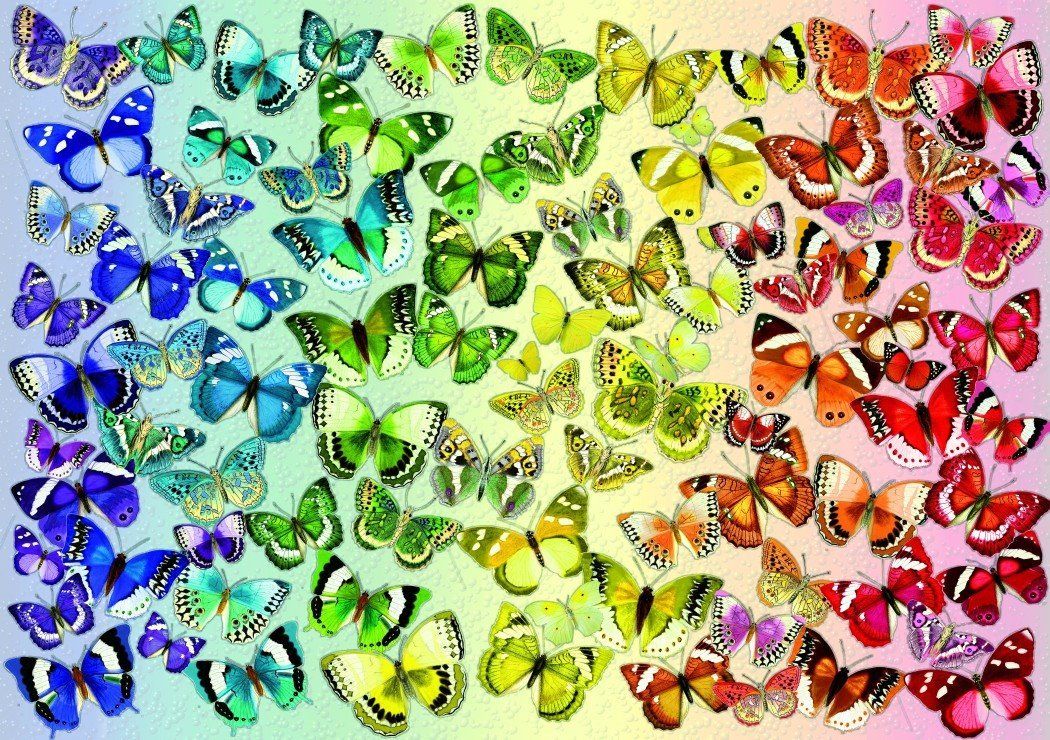 BLUEBIRD Puzzle Motýli 1000 dílků - obrázek 1