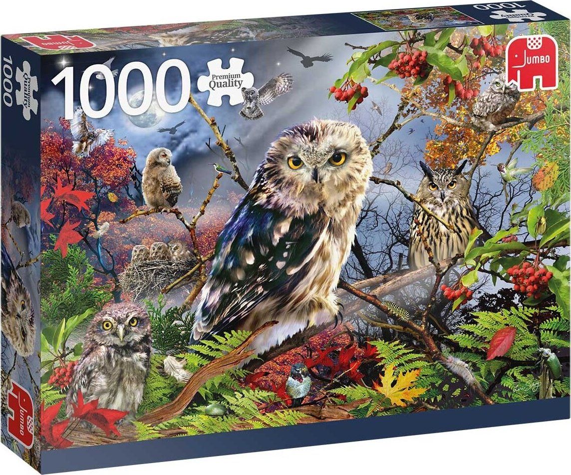 JUMBO Puzzle Sovy při úplňku 1000 dílků - obrázek 2