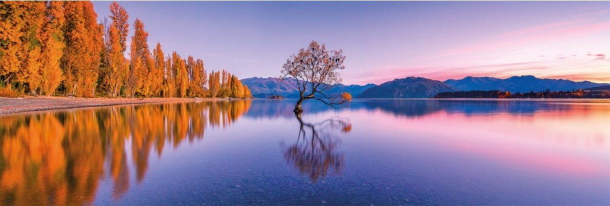 CLEMENTONI Panoramatické puzzle Vrba na jezeře Wanaka - obrázek 1