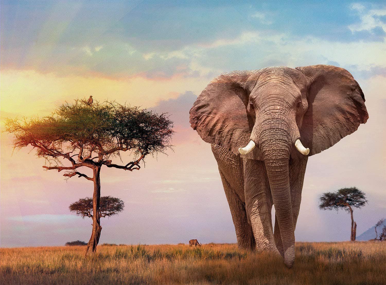 CLEMENTONI Puzzle Africký západ slunce 500 dílků - obrázek 1