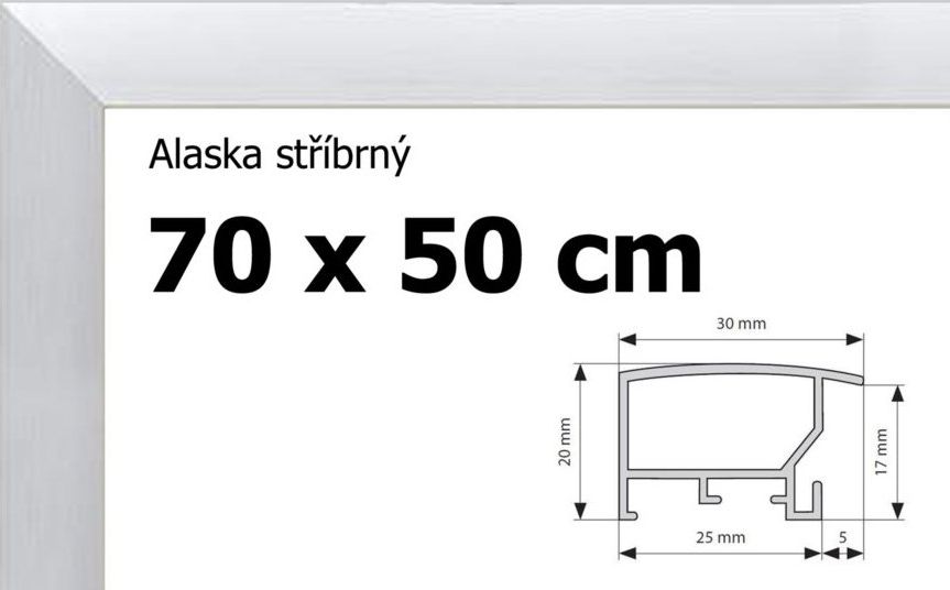 BFHM Alaska hliníkový rám na puzzle 70x50cm - stříbrný - obrázek 1