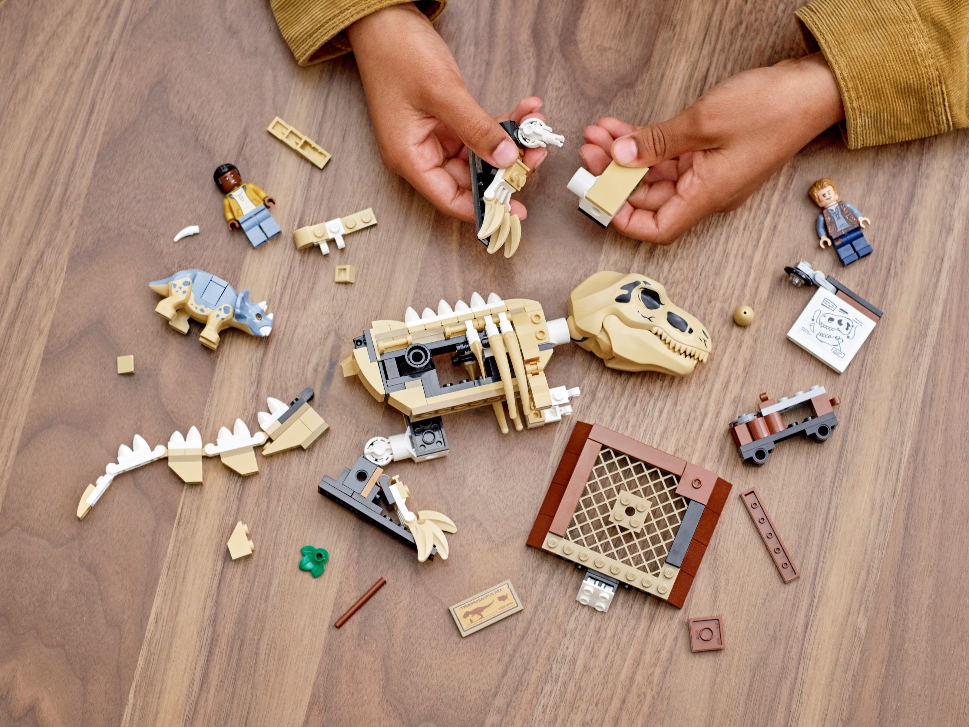 LEGO Výstava fosílií T-rexe 76940 - obrázek 6