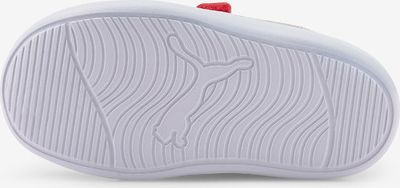 Courtflex V2 Tenisky dětské Puma | Růžová | Dívčí | 25 - obrázek 6