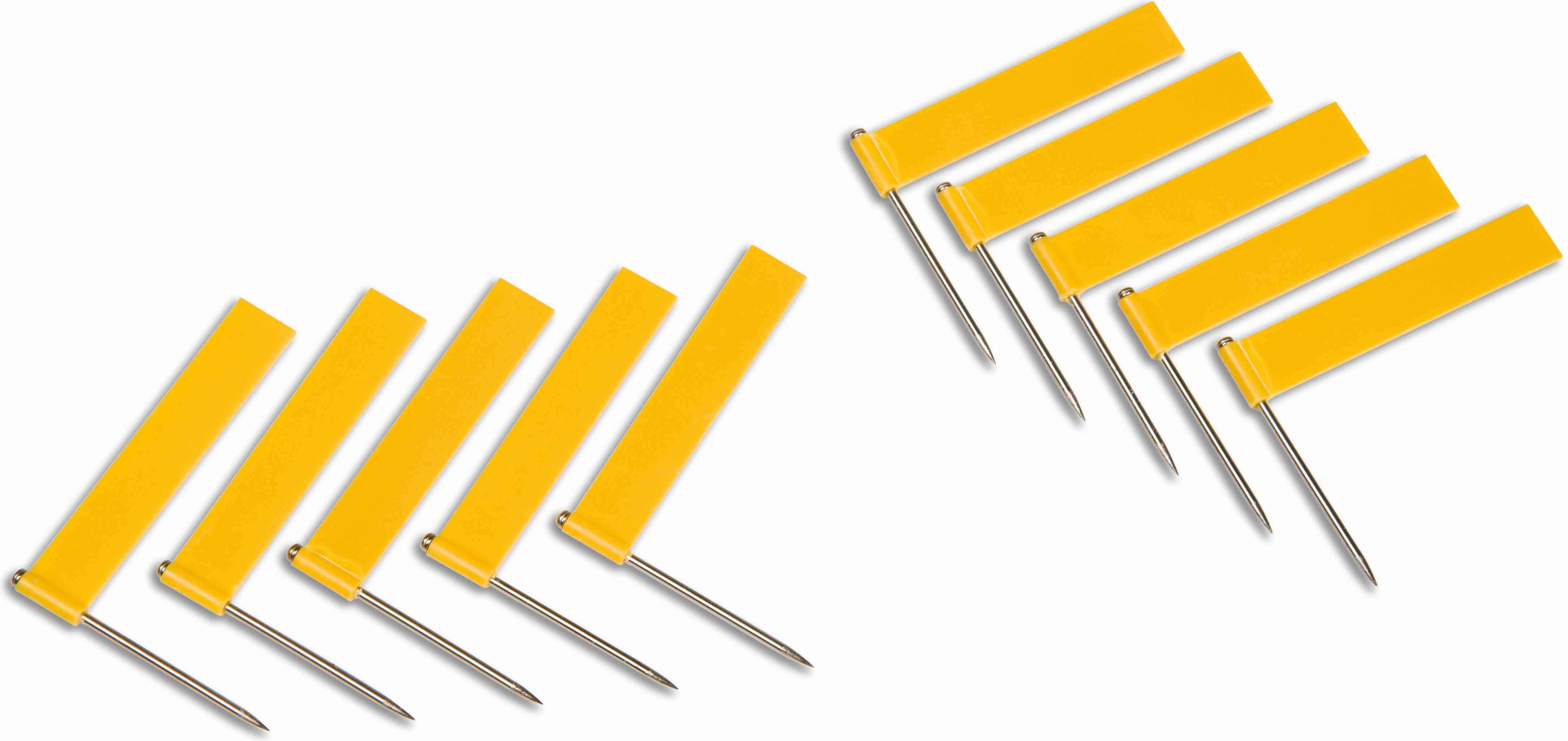 Nienhuis Montessori Extra Flags Varianta: Gold (10) - obrázek 2
