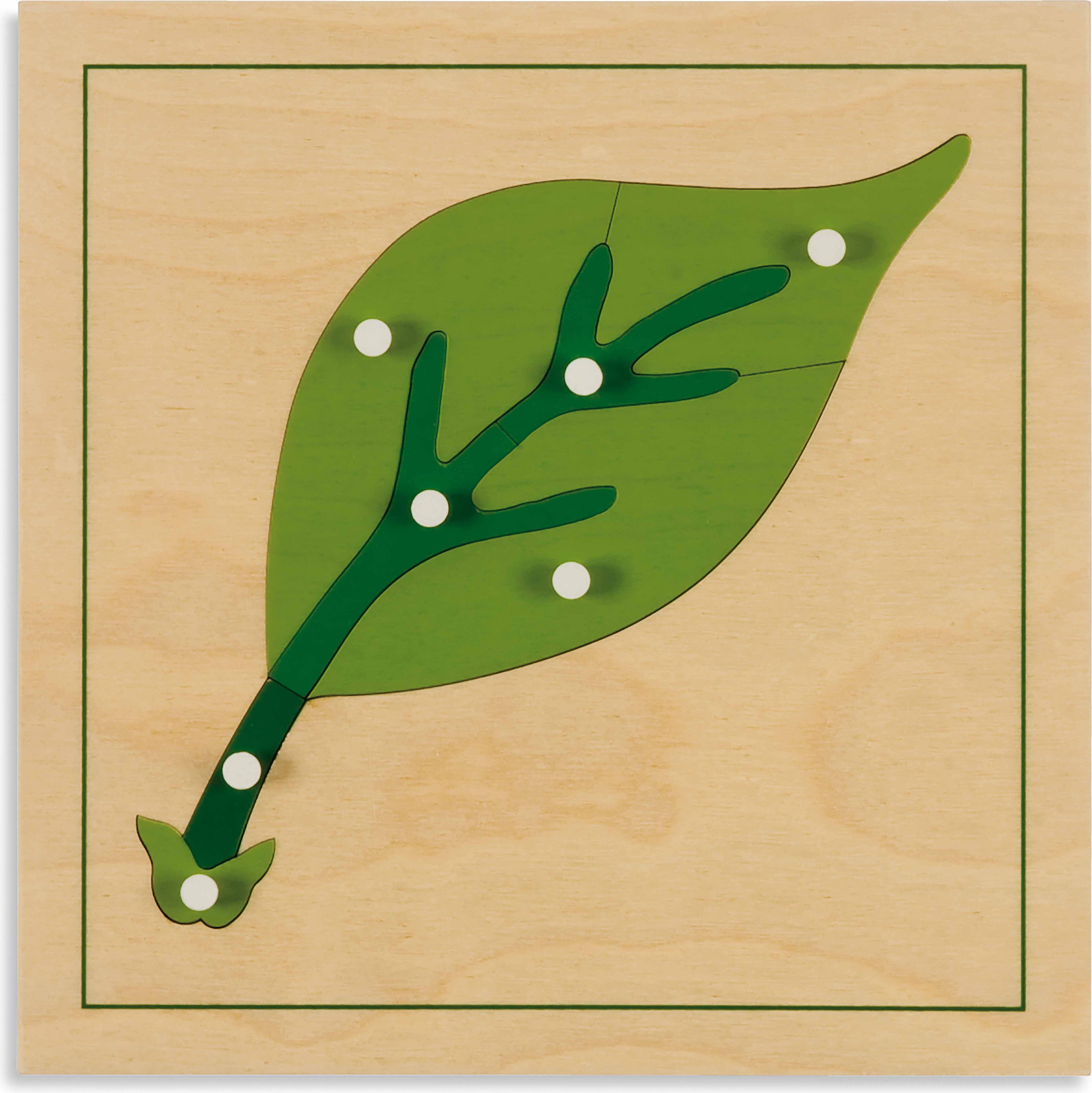 Nienhuis Montessori Botany Puzzle: Leaf - obrázek 1