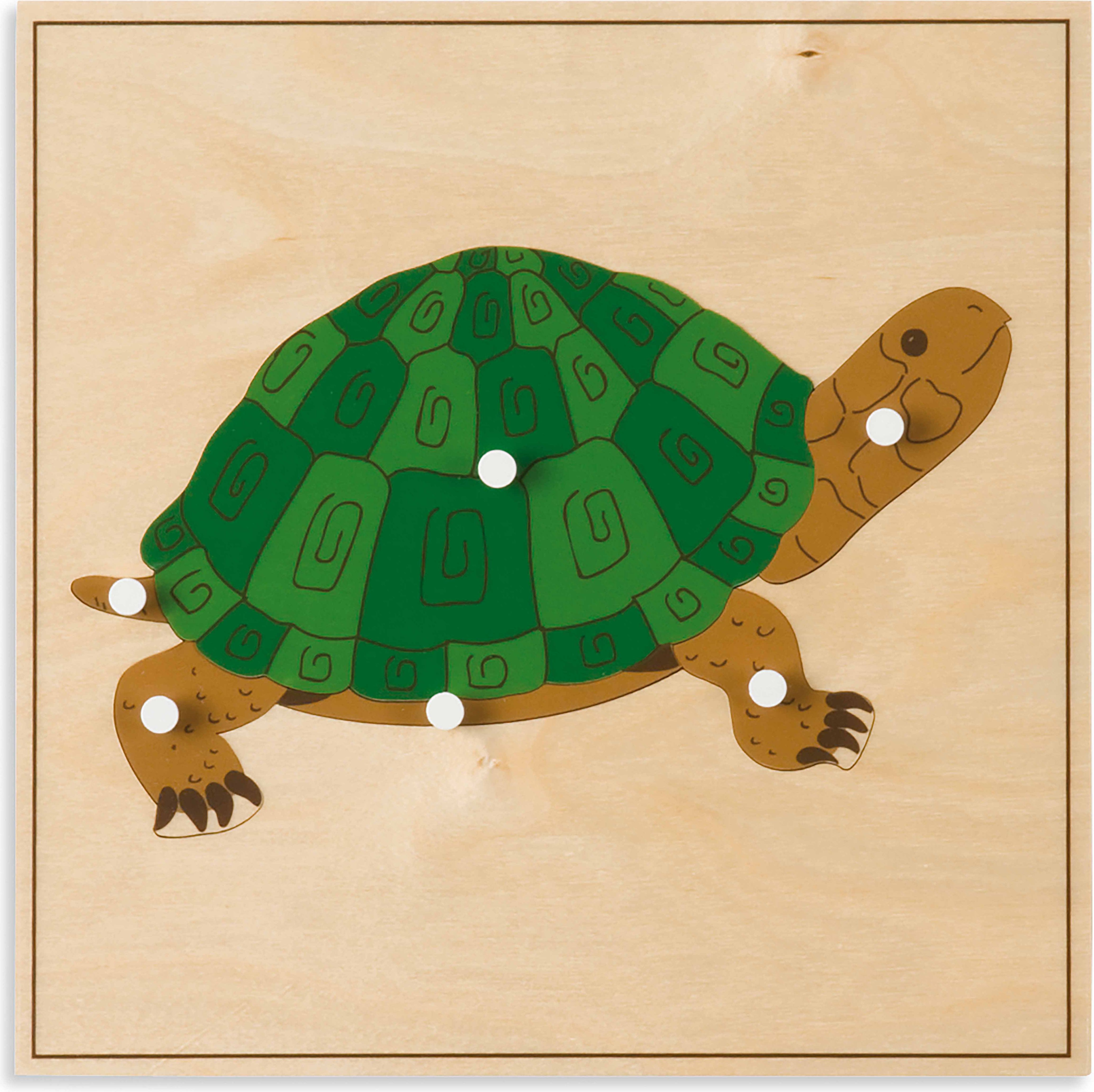 Nienhuis Montessori Animal Puzzle: Turtle - obrázek 1