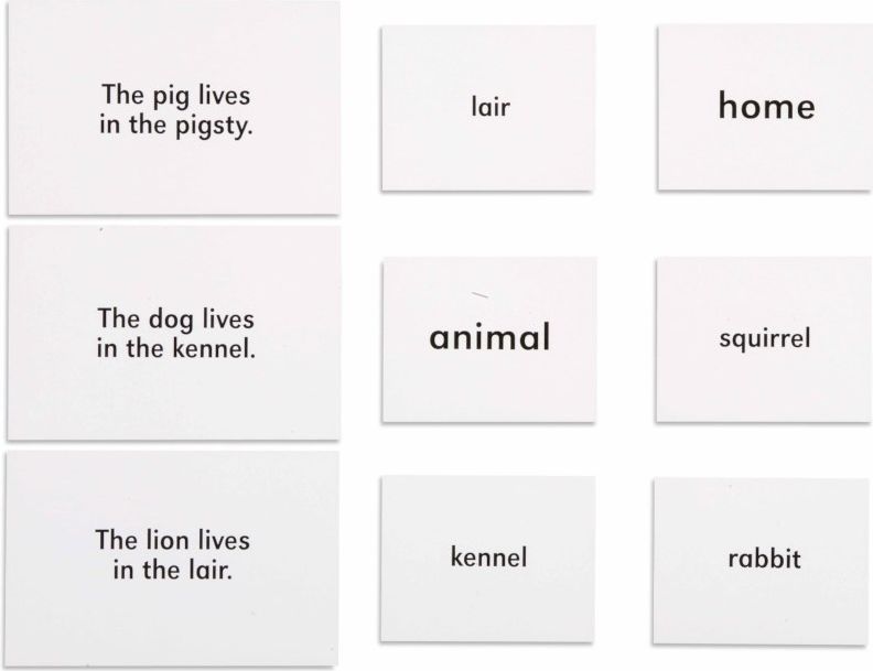 Nienhuis Montessori Animals And Their Homes - obrázek 1