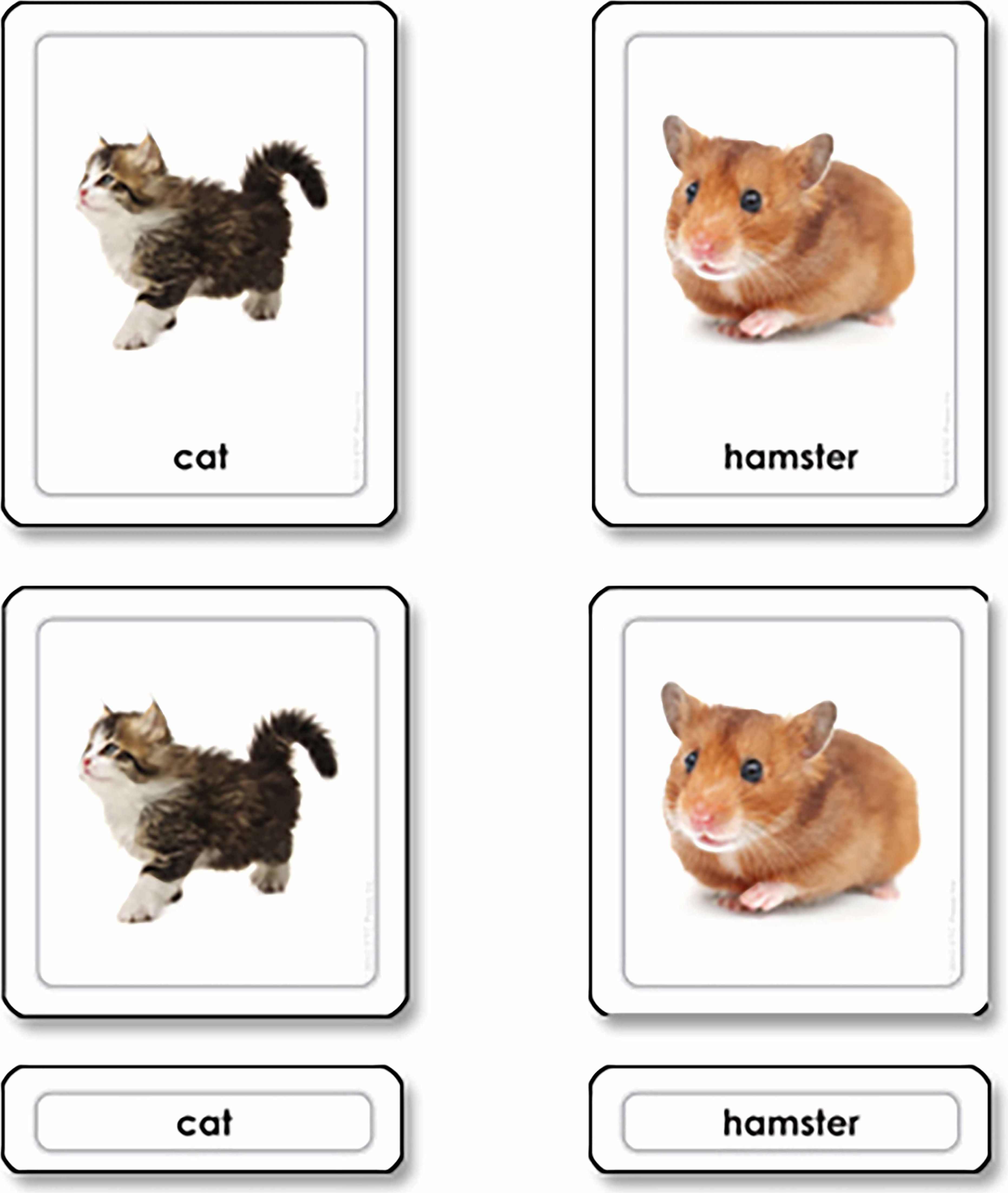 Nienhuis Montessori Pets 3 Part Cards - obrázek 1