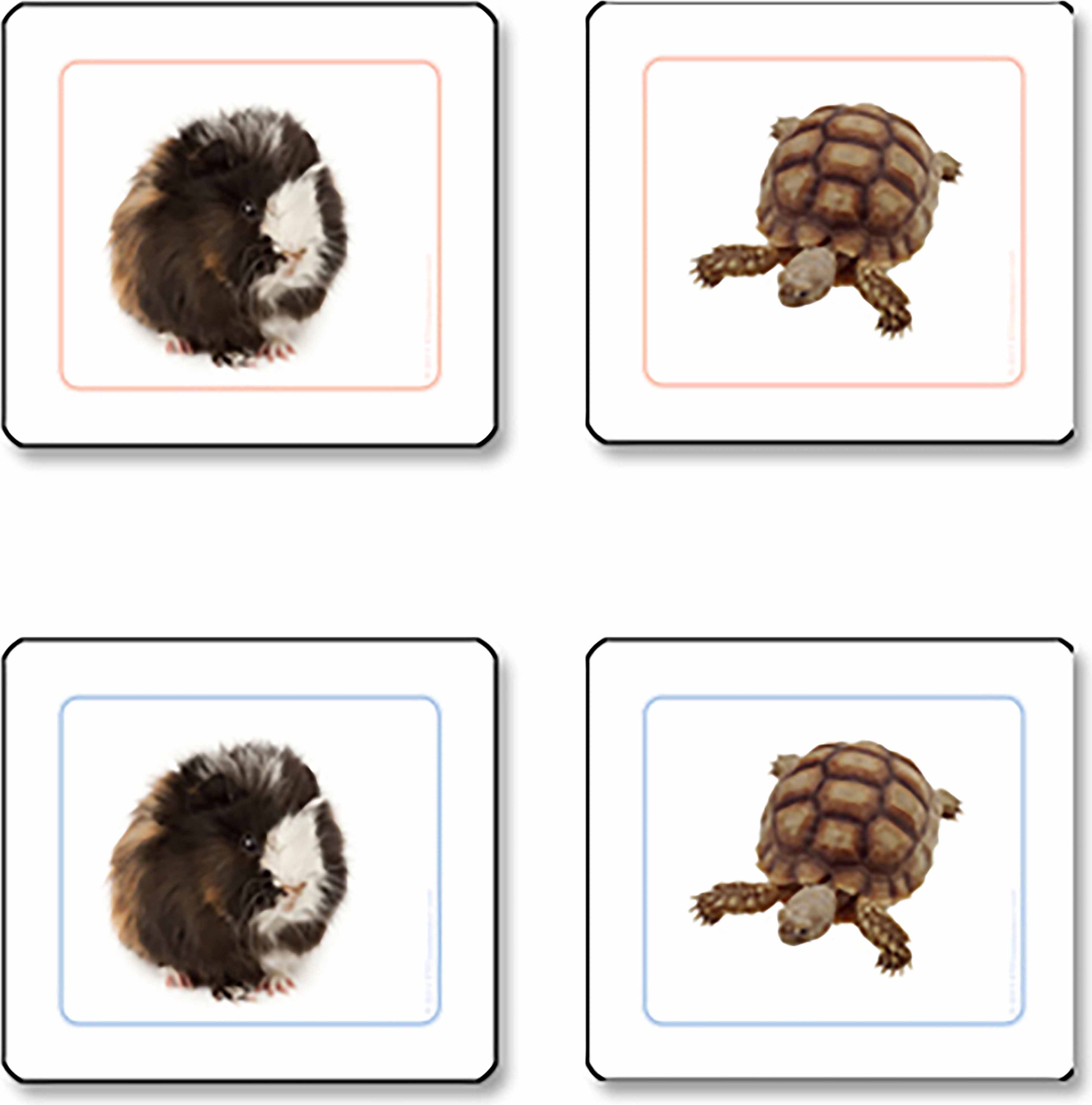 Nienhuis Montessori Pets Matching Cards - obrázek 1