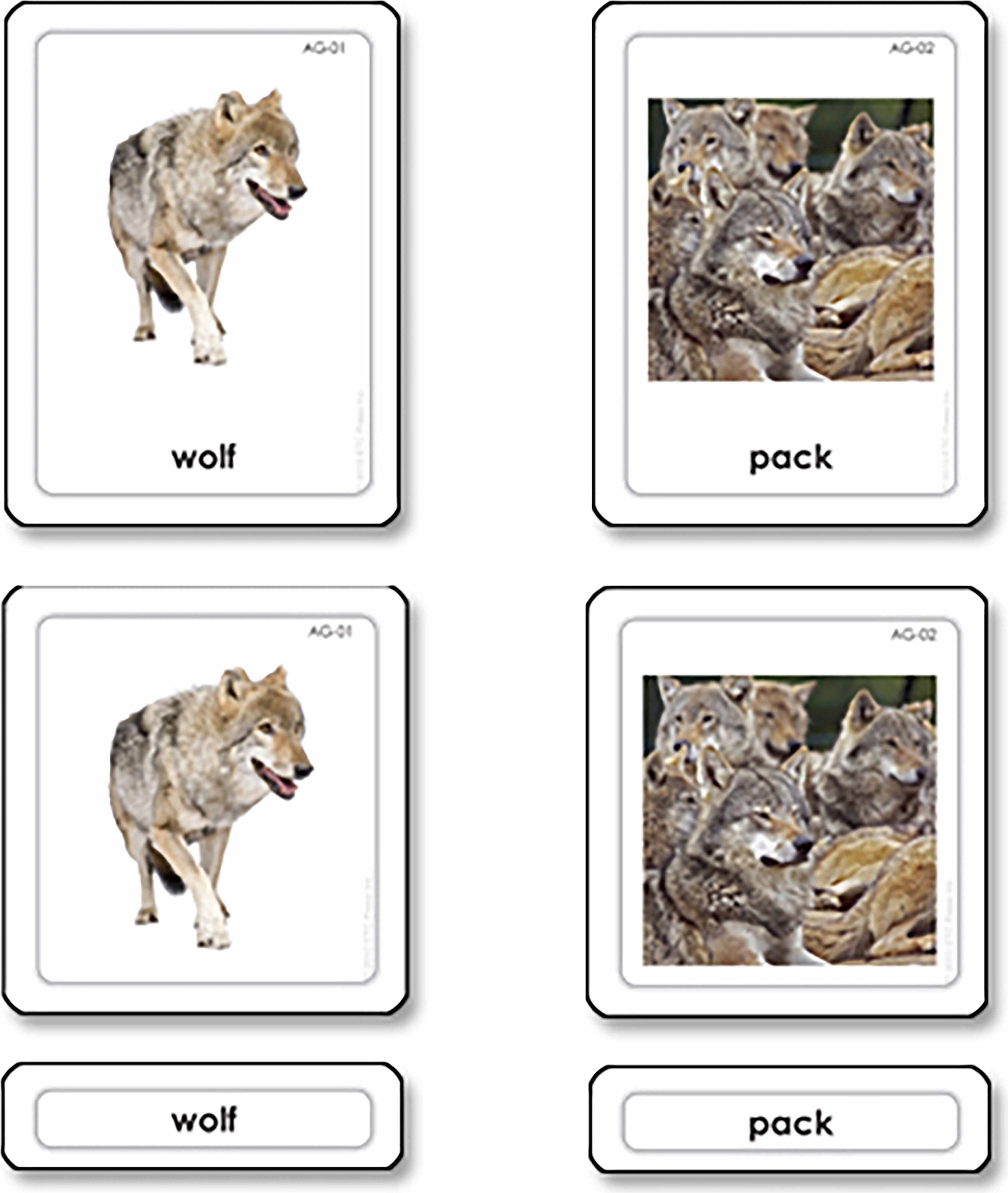 Nienhuis Montessori Animal Groups 3 Part Cards - obrázek 1