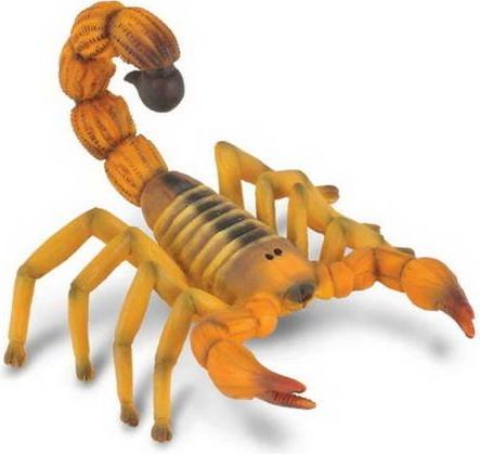 Škorpión - obrázek 1
