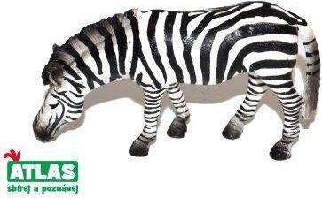 C - Figurka Zebra 11 cm - obrázek 1