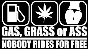 Dudlu Nálepka na auto - Gas, grass or ass (Bílá) - obrázek 5