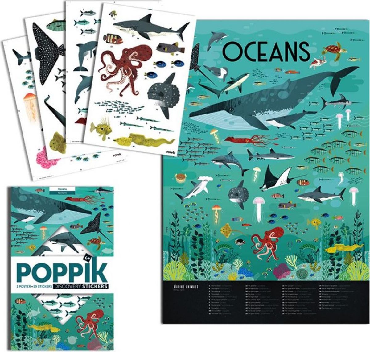 Poppik Samolepkový plakát vzdělávací Oceán - obrázek 3