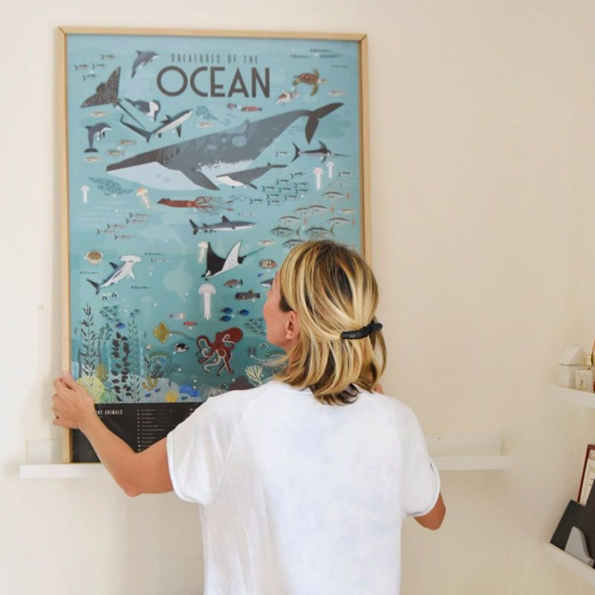 Poppik Samolepkový plakát vzdělávací Oceán - obrázek 10