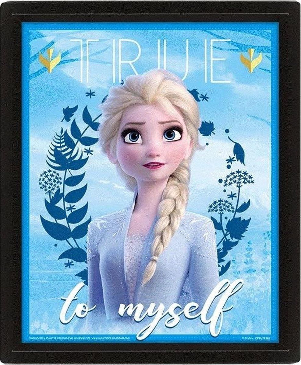 Epee Merch 3D obraz Frozen - obrázek 1