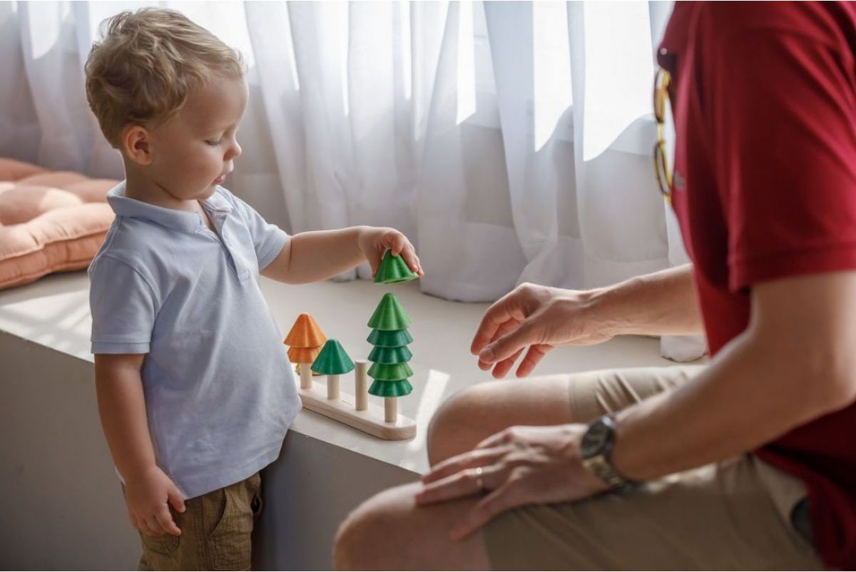 PlanToys Třídicí stromky - obrázek 8