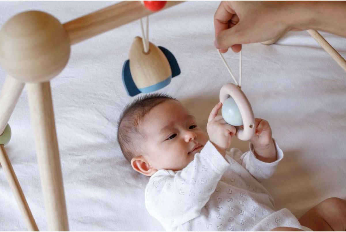 PlanToys Hrazdička pro miminka Orchard - obrázek 6