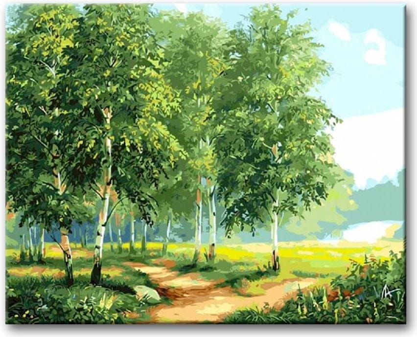 ZUTY Malování podle čísel - BŘÍZY U CESTY II 40x50 NO - obrázek 1