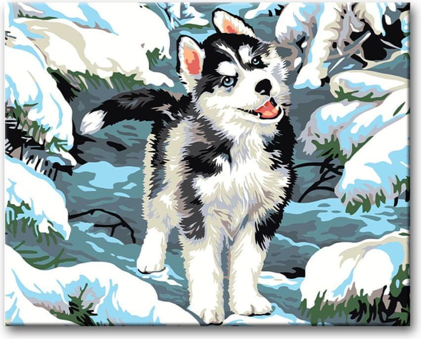 ZUTY Malování podle čísel - MALÝ HUSKY NO 80x100 - obrázek 1